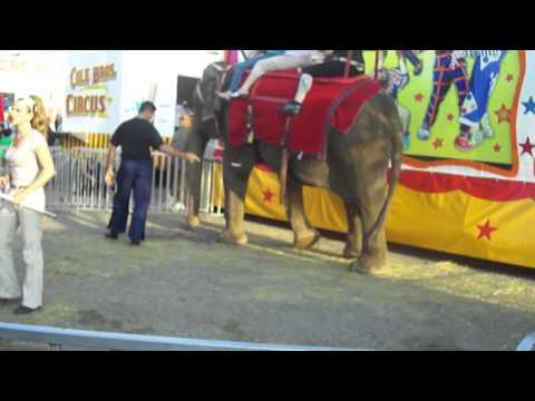 Cole Bros Circus Elephant Rides Part 1