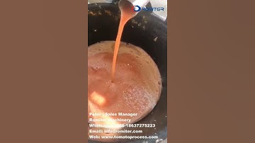Automatic Tomato Juice Extracting Making Machine