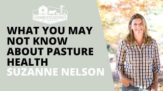 What You May Not Know About Pasture Health | Suzanne Nelson of Reverence Farms by Homesteaders of America 2,241 views 11 months ago 54 minutes