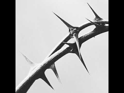 Drake \u0026 21 Savage - Major Distribution [destxmido remix]