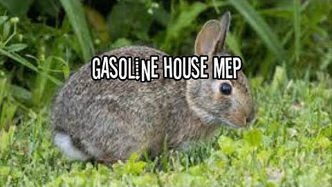 Gasoline house MEP || ❗️read description❗️|| open || 5\8
