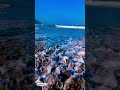 Crashing Ocean Waves Sounds 🌊 Relaxing Beach ASMR #shorts