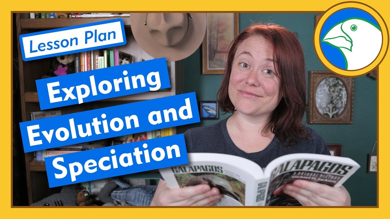 ⁣Exploring Evolution and Speciation - Lesson Plan