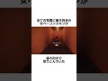 #ロブロックス#ホラー#都市伝説#物や人を飛ばす#フィクション