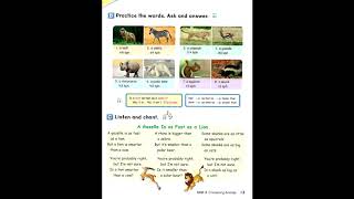 Page 13 Lets Go 5 4Th Edition Unit 2 Comparing Animals