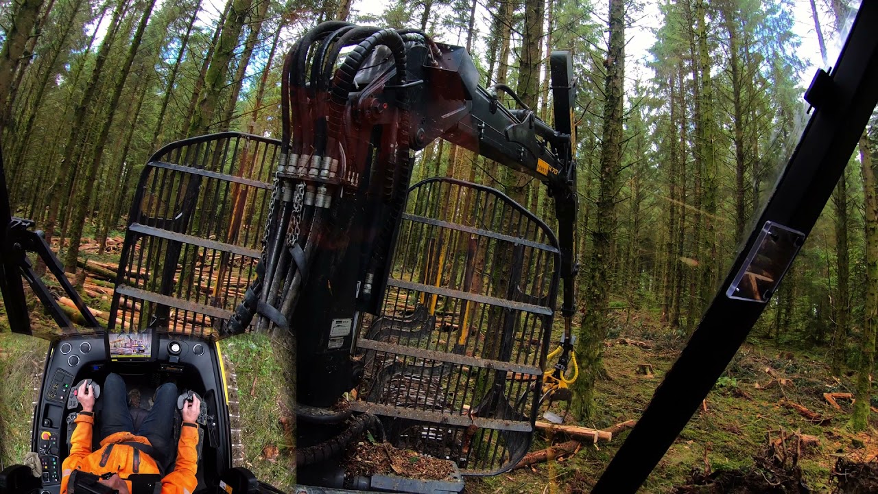 Forwarder - No.4 Loading Chip