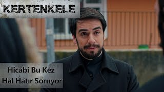 Hicabi Bu Kez Hal Hatır Soruyor - Kertenkele