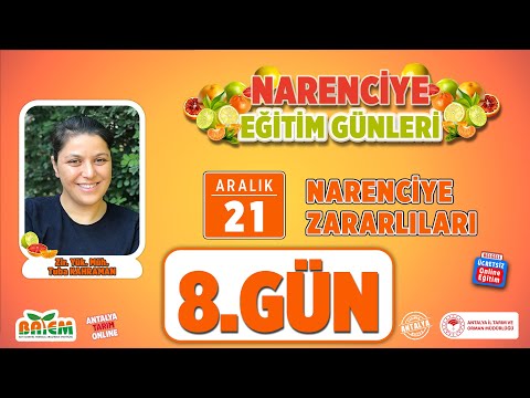 Video: Narenciye Akar Kontrolü - Narenciye Akarları Nedir ve Onlardan Nasıl Kurtulur