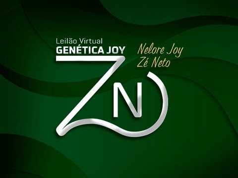 Lote 20   JOY 77   82   79   89 Copy