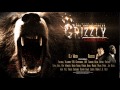 Capture de la vidéo Dj Wich & Rasco (The Untouchables) - Grizzly (Cz/Sk Rmx)