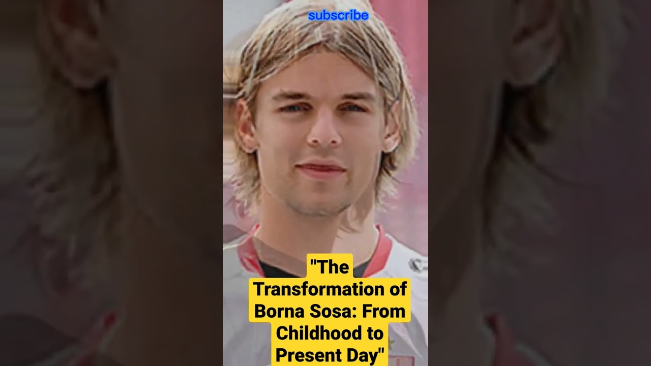 stages of life evolution of Borna Sosa