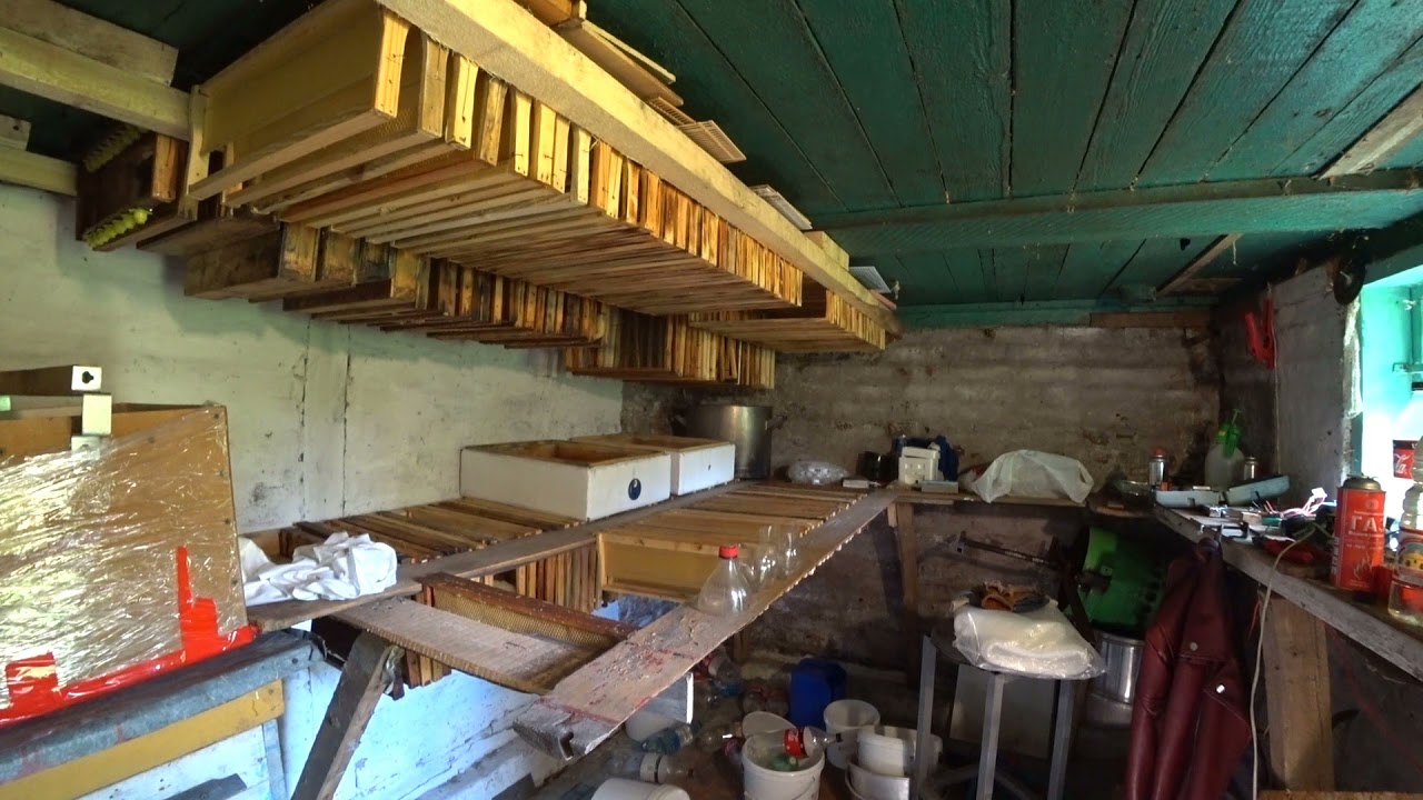 Как сохранить вощину от моли?