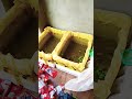 guppy fish outdoor pond part-1 #guppyfish