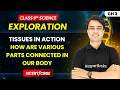 How are Various Parts Connected in our Body - Tissues in Action | Class 9 Science | Ch 3 | CBSE 2026