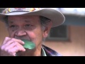 Ossie cruze aboriginal elder plays gum leaf