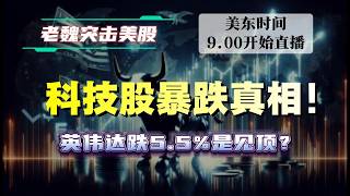 美股直播｜科技股暴跌真相！英伟达跌5.5%是见顶？#美股 #英伟达 #甲骨文 #英特尔 #特斯拉 #soun #苹果 #投資  #crcl  #amd