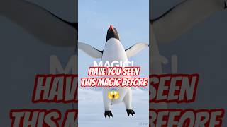 Wait for the Penguin Transformation… 🐧✨ #magic #surprise