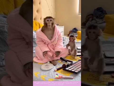 شفا اغاني شيلات لابوبو مسلسل امي عامر     اكسبلور 