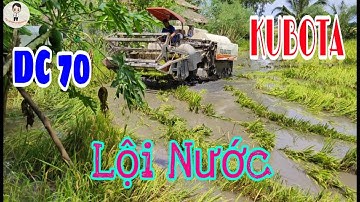 Kubota D70 Xuống dốc cắm đầu, Lội Nước "bì bỏm"  | Máy gặt đập liên hợp | Quốc An Nguyễn