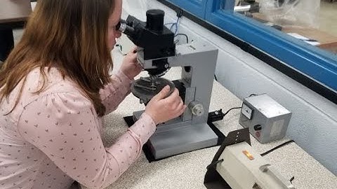 Learn How a Geologist Studies the Grain Size in Soil Samples