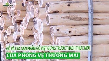 Gỗ và sản phẩm Gỗ Việt đứng trước thử thách mới của phòng vệ thương mại
