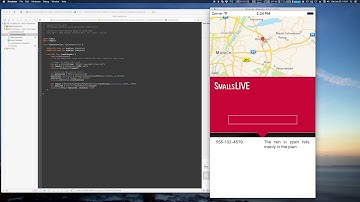Layout Demo with Dynamic Constraints