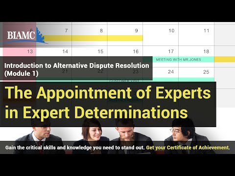 The Appointment of  Experts in Expert Determinations