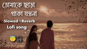 O Pagli Re [ তোমাকে ছাড়া থাকা যন্তনা ] 😇❤️ || New Bangla Song || #trending #slowedandreverb #song  