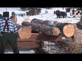 Buena Vista Logging Days - Bemidji, Minnesota