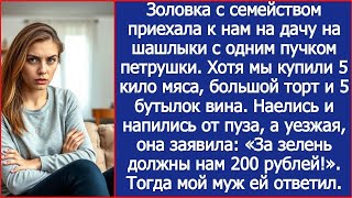 видео: «За петрушку нам 200 рублей должны!» Заявила золовка, объевшись шашлыка на моей даче картинка: «За петрушку нам 200 рублей должны!» Заявила золовка, объевшись шашлыка на моей даче