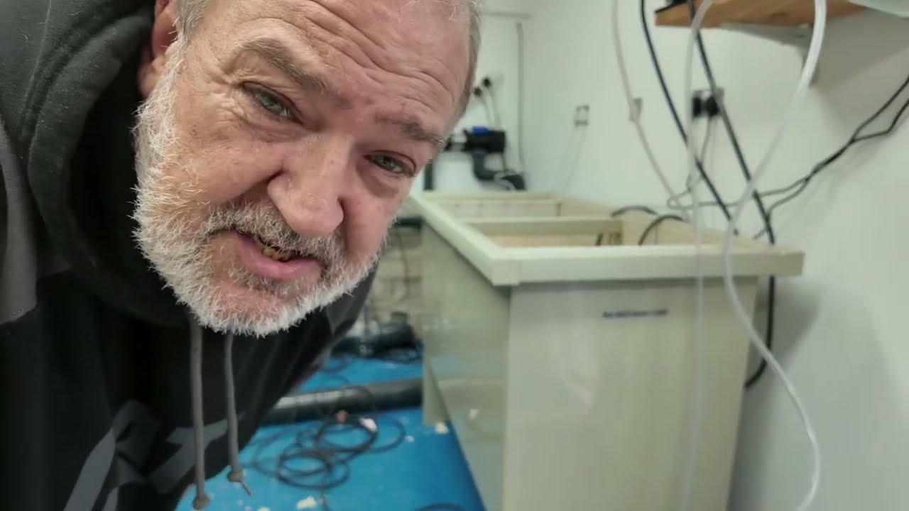 bio upgrade  and  a mess