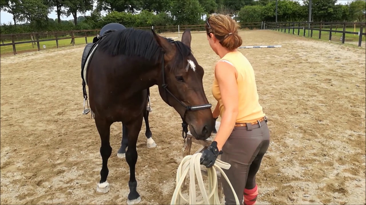 Saddle breaking YouTube