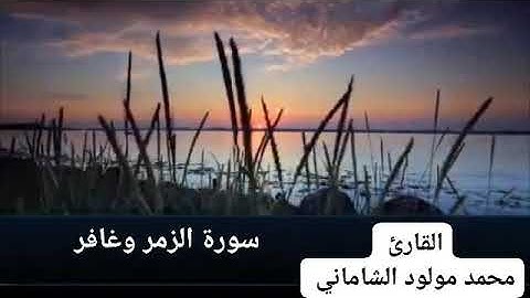 القارئ محمد مولود الشاماني سورة الزمر وغافر
