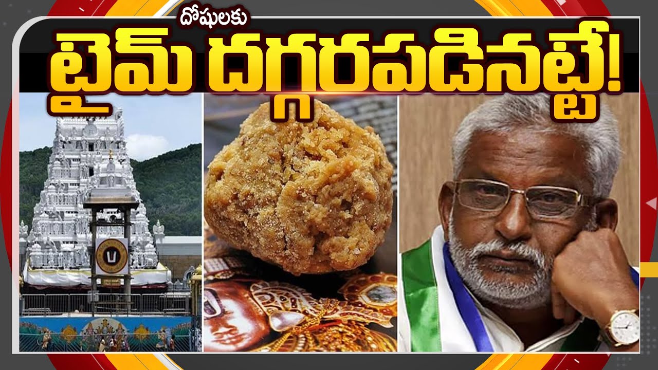 Tirumala Ghee Case: SIT Investigation Reaches Climax | YV Subba Reddy || TV5 News ApT