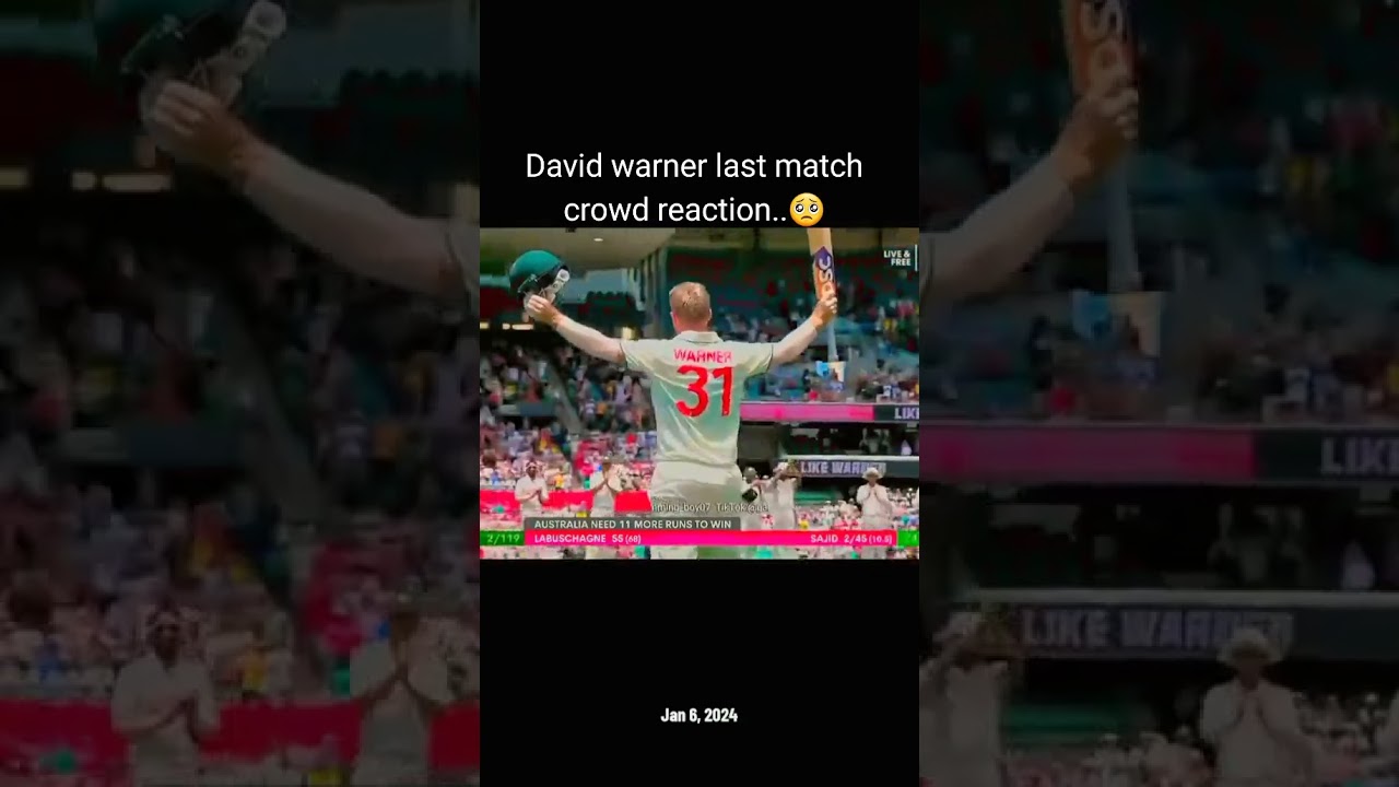 DAVID WARNER LAST TEST MATCH 😥😥😥