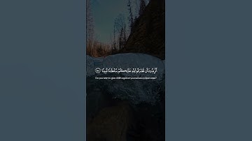 Surah An-Nisa 144-145 سورة النساء #quraniv #quran