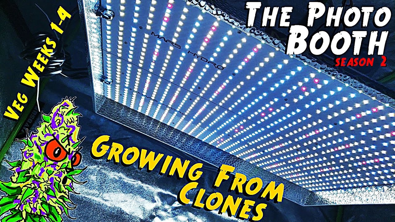 The Photo Booth S2 Ep. 1 | Growing Clones Under The Mars Hydro TS3000 (New 4x4 Tent) Veg Weeks 1 - 4