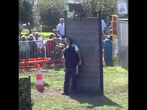 De Racky,in memoriam (nvbk) mis je...