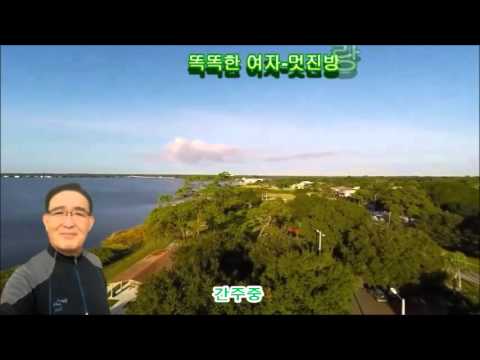 똑똑한 여자 박진도