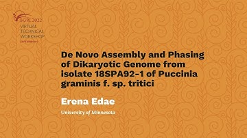 Erena Edae: De Novo Assembly, Phasing of Dikaryotic Genome from isolate 18SPA92-1 of Wheat Stem Rust