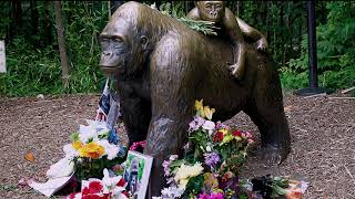 10 years since the death of Harambe. Dicks out for Harambe. #harambe