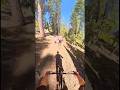 Shifted Society finding the good spots out at Lake Tahoe. #getshifted #mtb #shiftedsocietyco