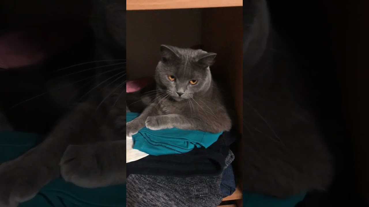 Всем кто ложиться спать, спокойного сна - YouTube