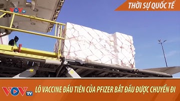 Lô vaccine đầu tiên của Pfizer/BioNTech bắt đầu được chuyển đi