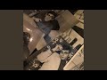 لا شيء يُعجبني (محمود درويش)