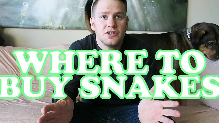 WHERE CAN I BUY SNAKES? (WHERE TO BUY REPTILES)