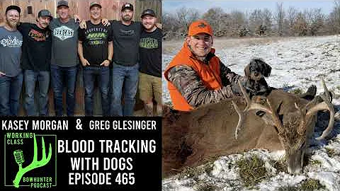 465 Blood Tracking With Dogs | Kasey Morgan & Greg...