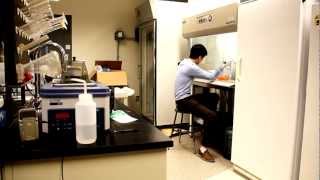 Innovative Student Research