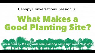 Canopy Conversations: What Makes a Good Planting Site?