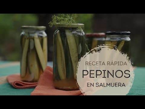 Video: Mostaza En Salmuera De Pepino: Recetas Fotográficas Paso A Paso Para Una Fácil Preparación